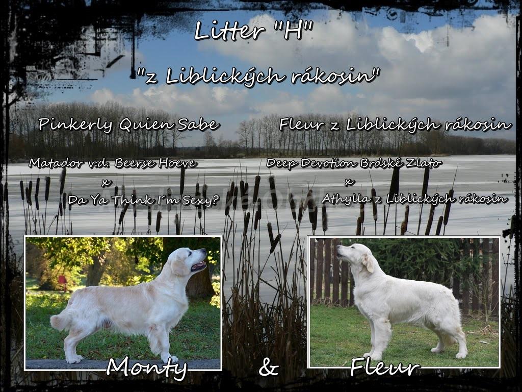 Foto v�robku