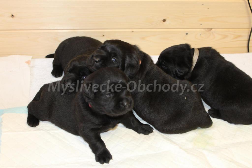 Foto v�robku
