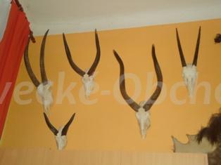 Foto v�robku