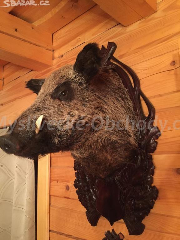 Foto v�robku