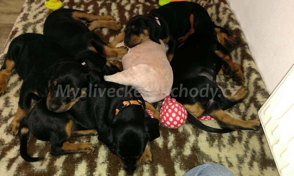 Foto v�robku