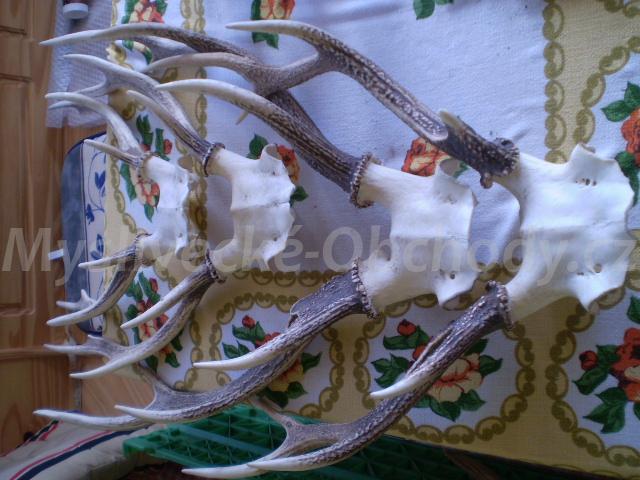 Foto v�robku