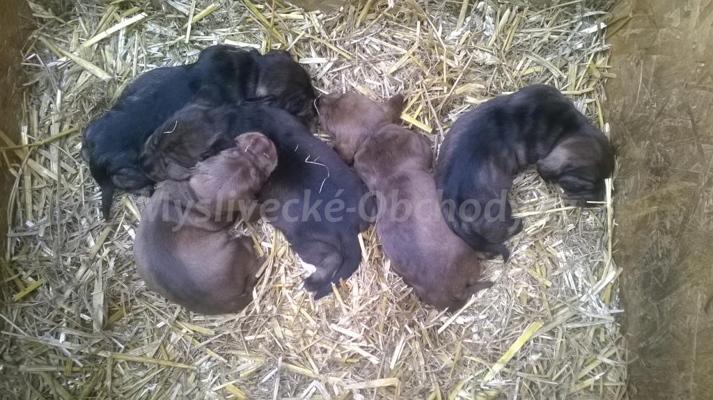 Foto v�robku
