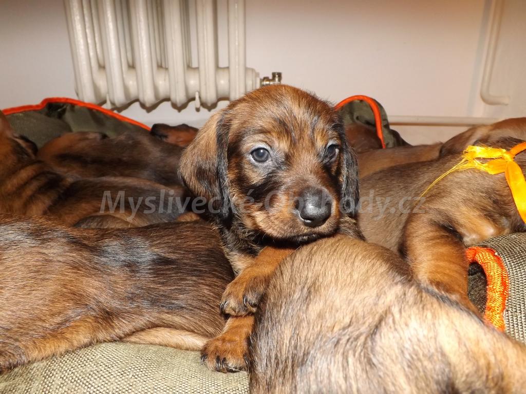 Foto v�robku