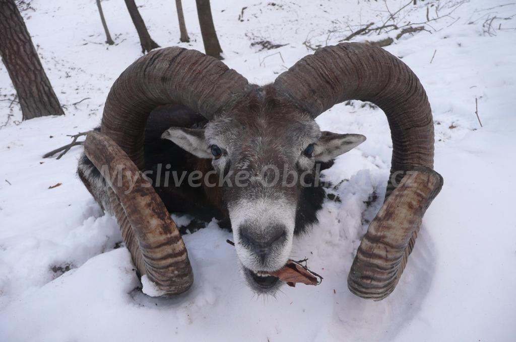 Foto v�robku
