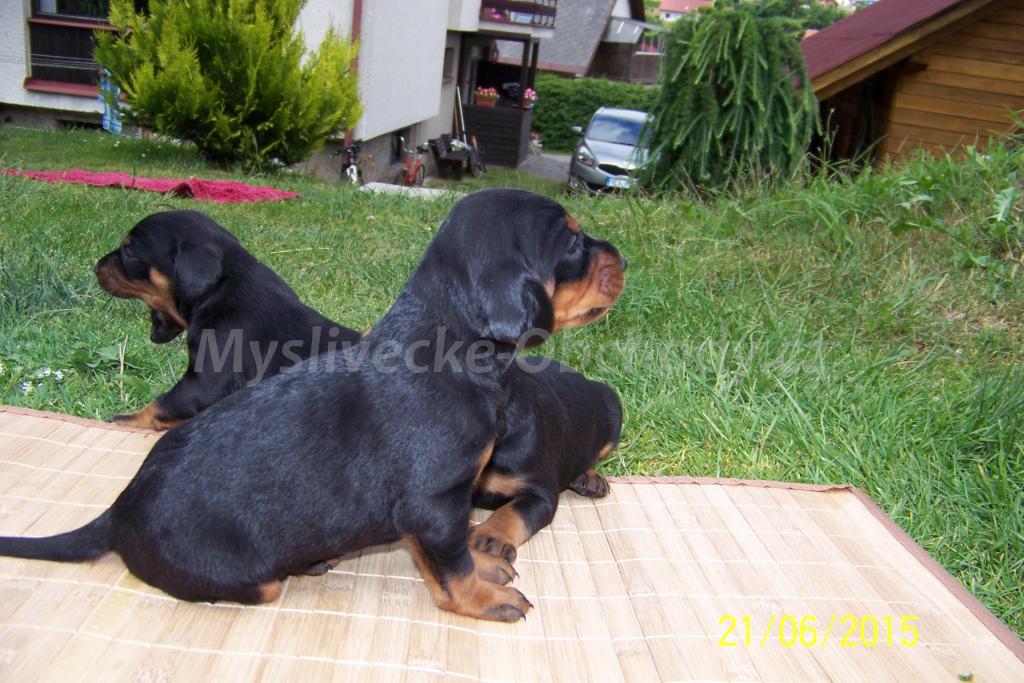 Foto v�robku