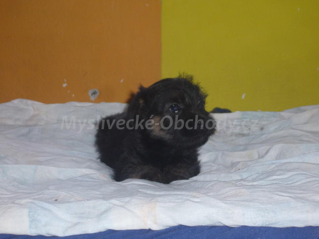 Foto v�robku
