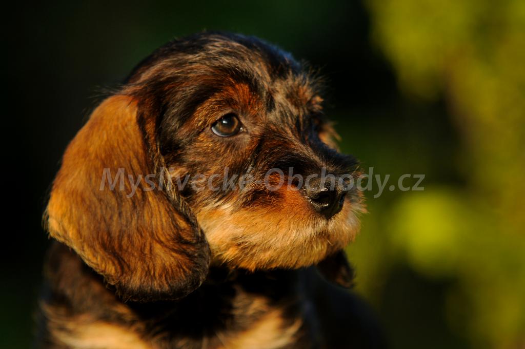 Foto v�robku