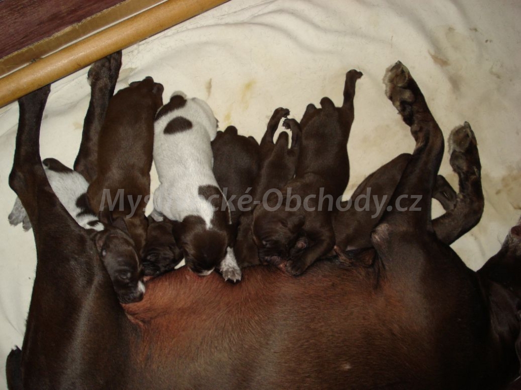 Foto v�robku