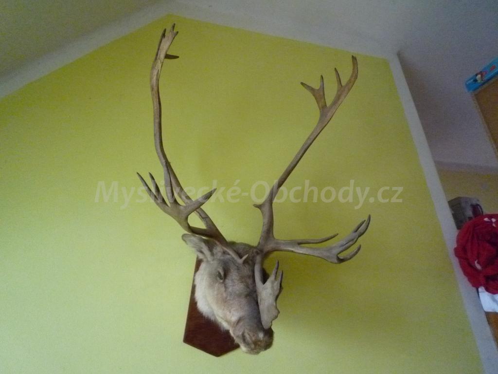 Foto v�robku