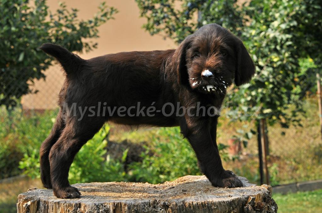 Foto v�robku