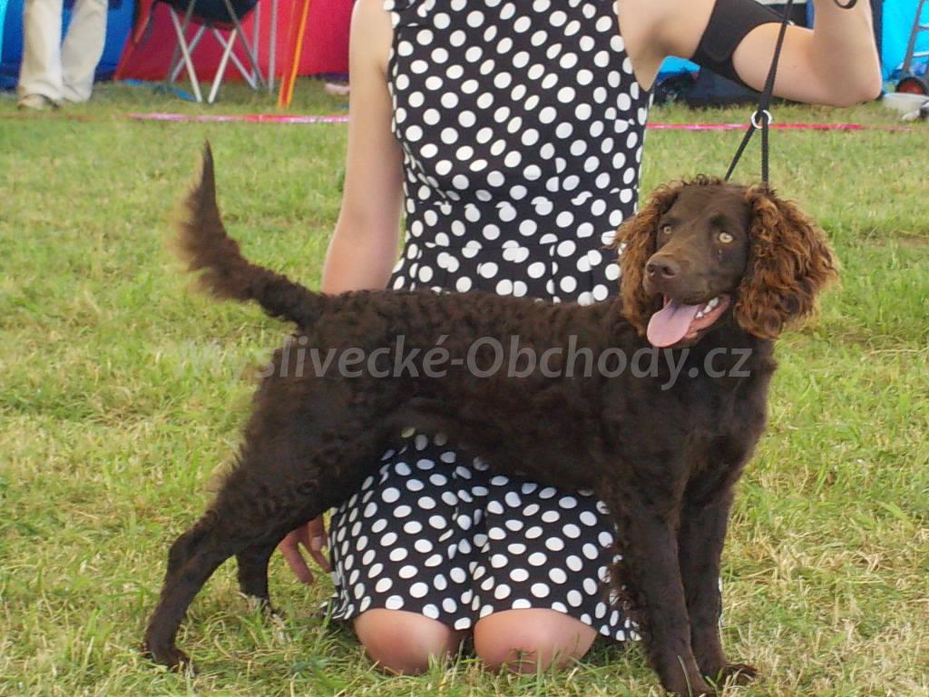 Foto v�robku