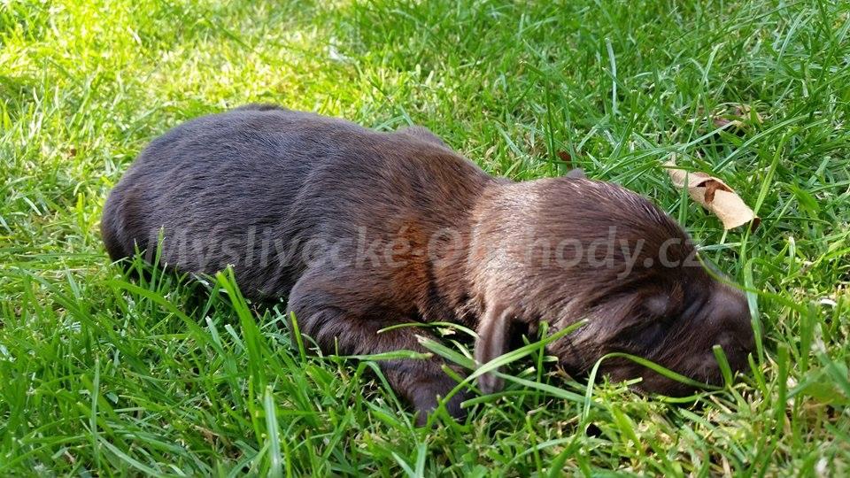Foto v�robku