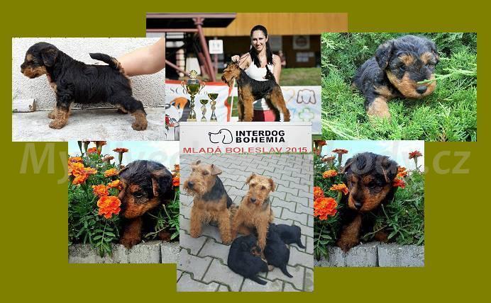 Foto v�robku