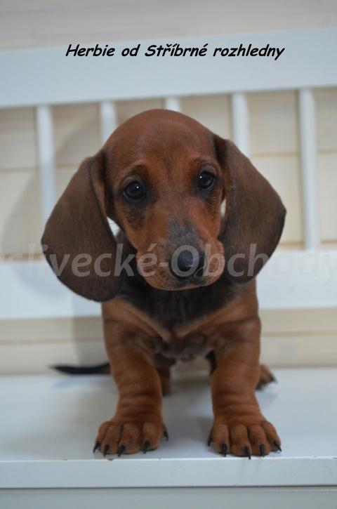 Foto v�robku