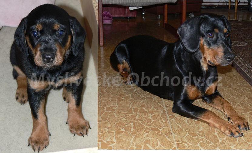 Foto v�robku