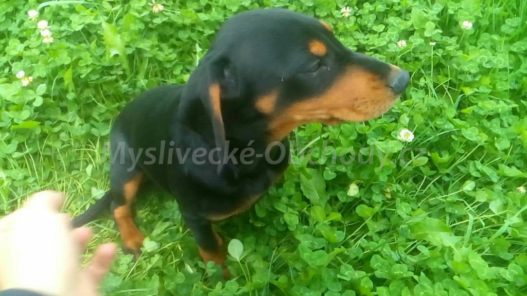 Foto v�robku