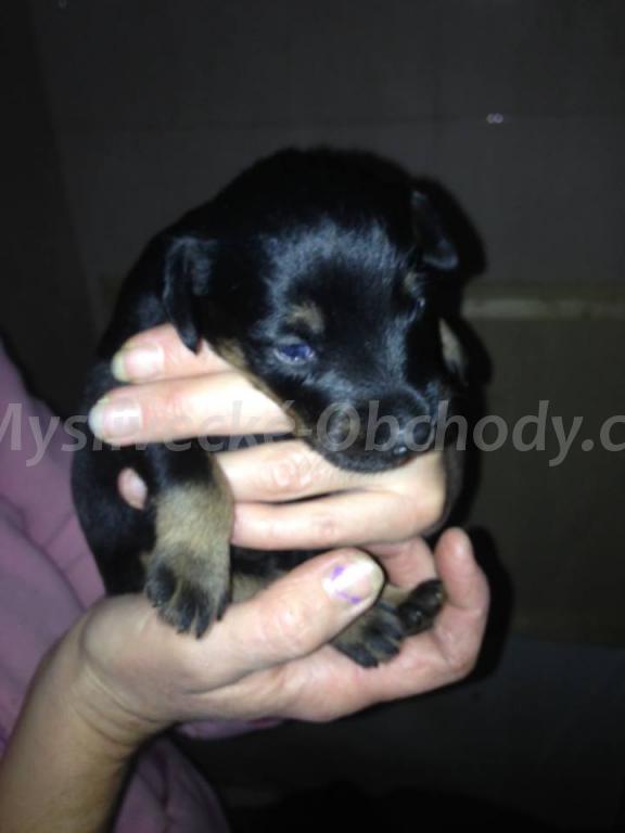 Foto v�robku