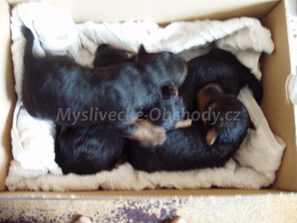 Foto v�robku