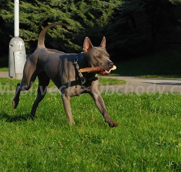 Foto v�robku