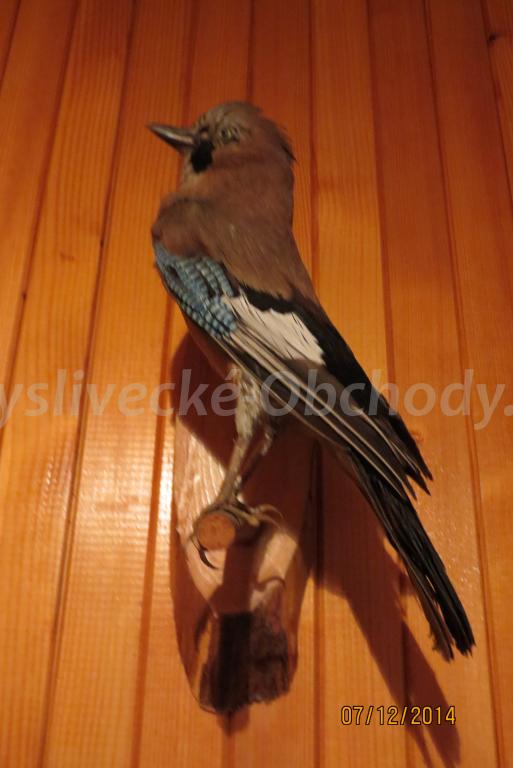 Foto v�robku
