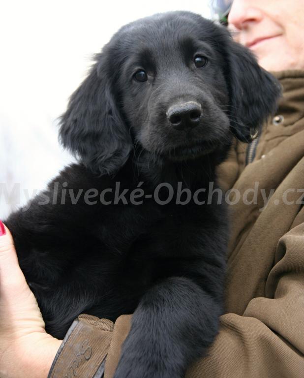 Foto v�robku