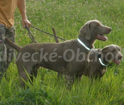 Foto v�robku