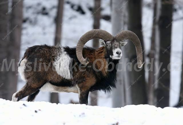 Foto v�robku