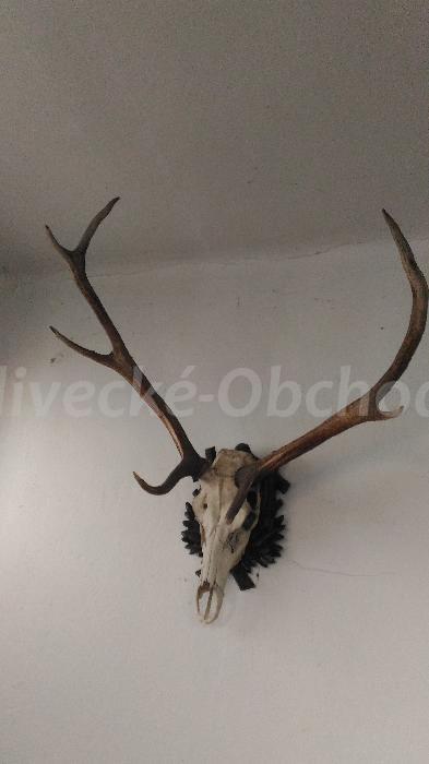 Foto v�robku