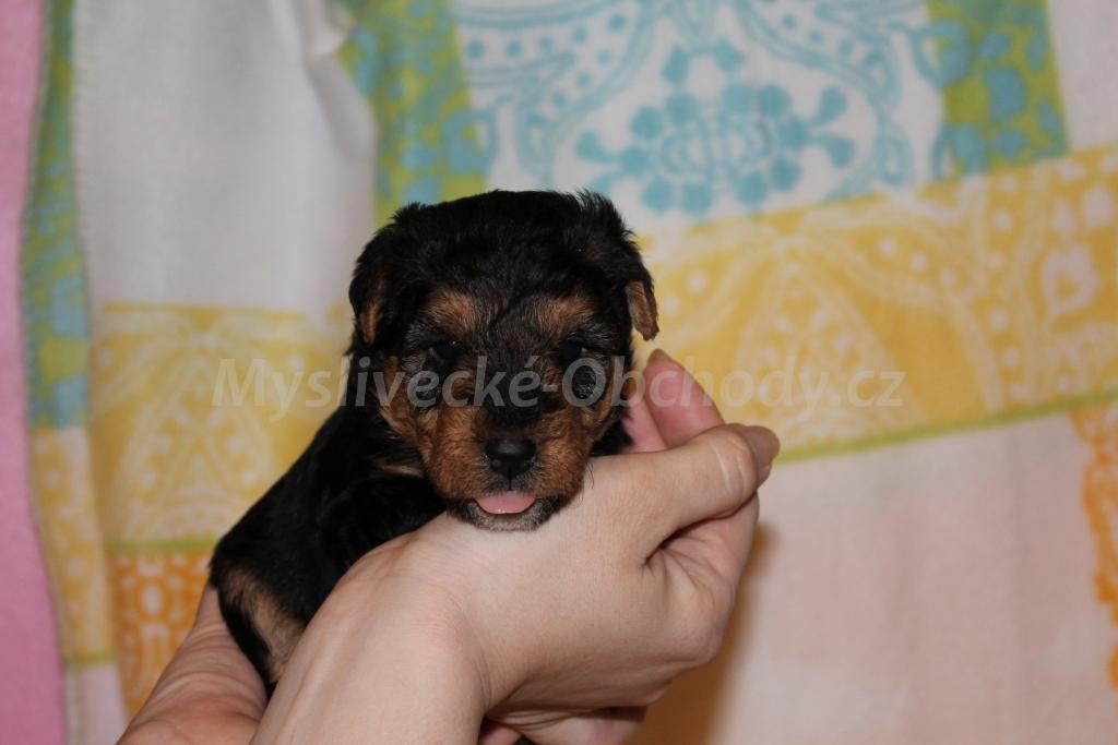 Foto v�robku