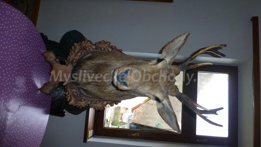 Foto v�robku