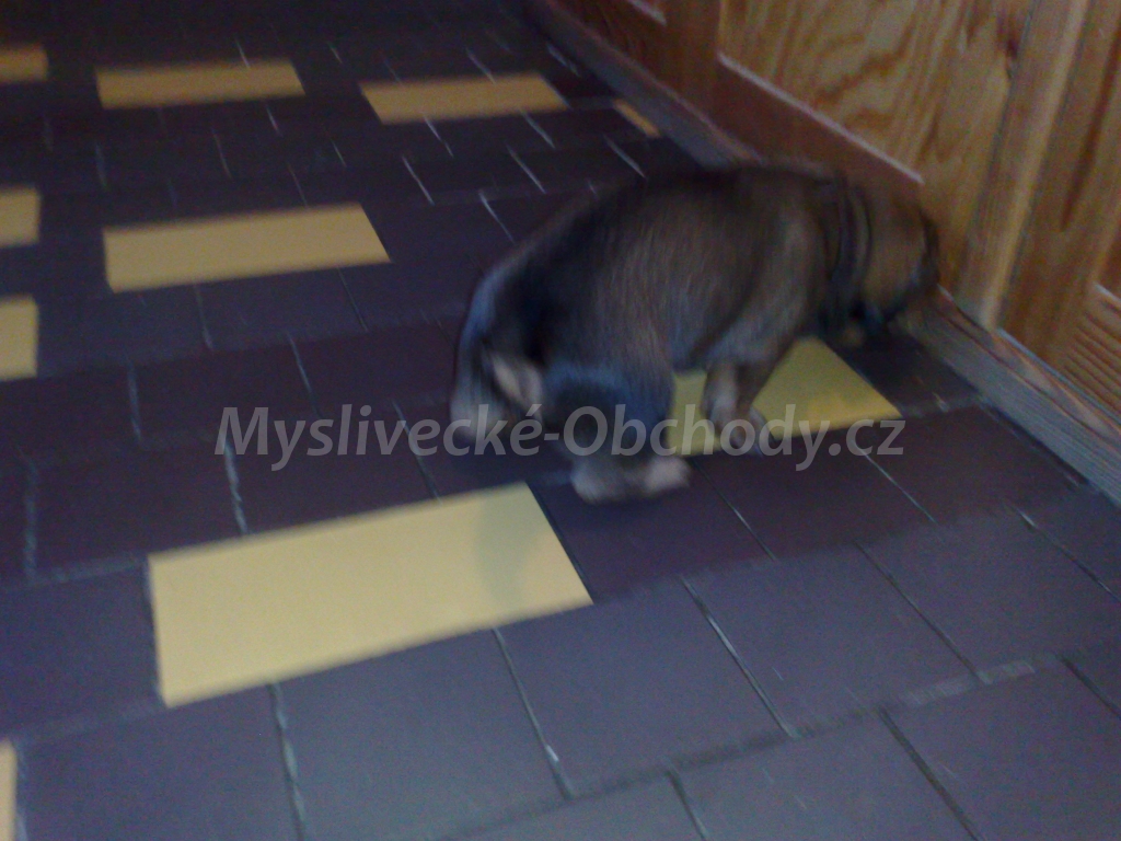 Foto v�robku
