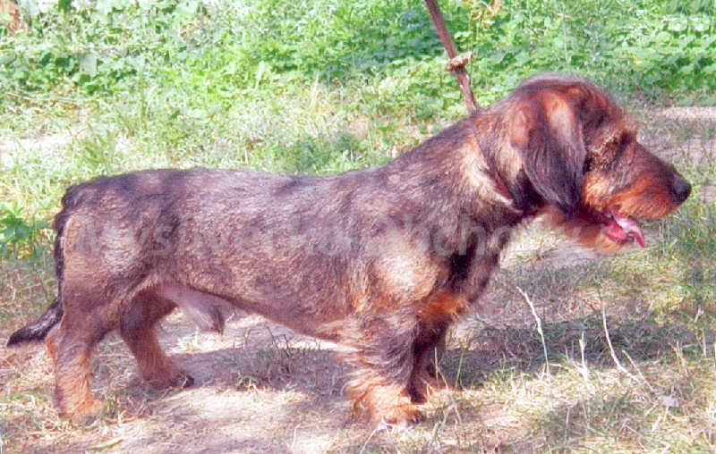 Foto v�robku