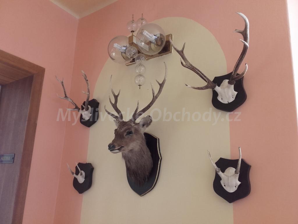 Foto v�robku