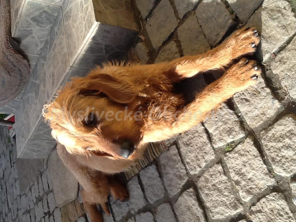 Foto v�robku