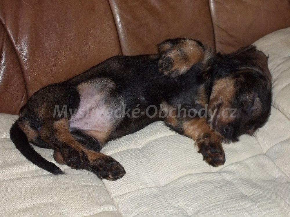 Foto v�robku