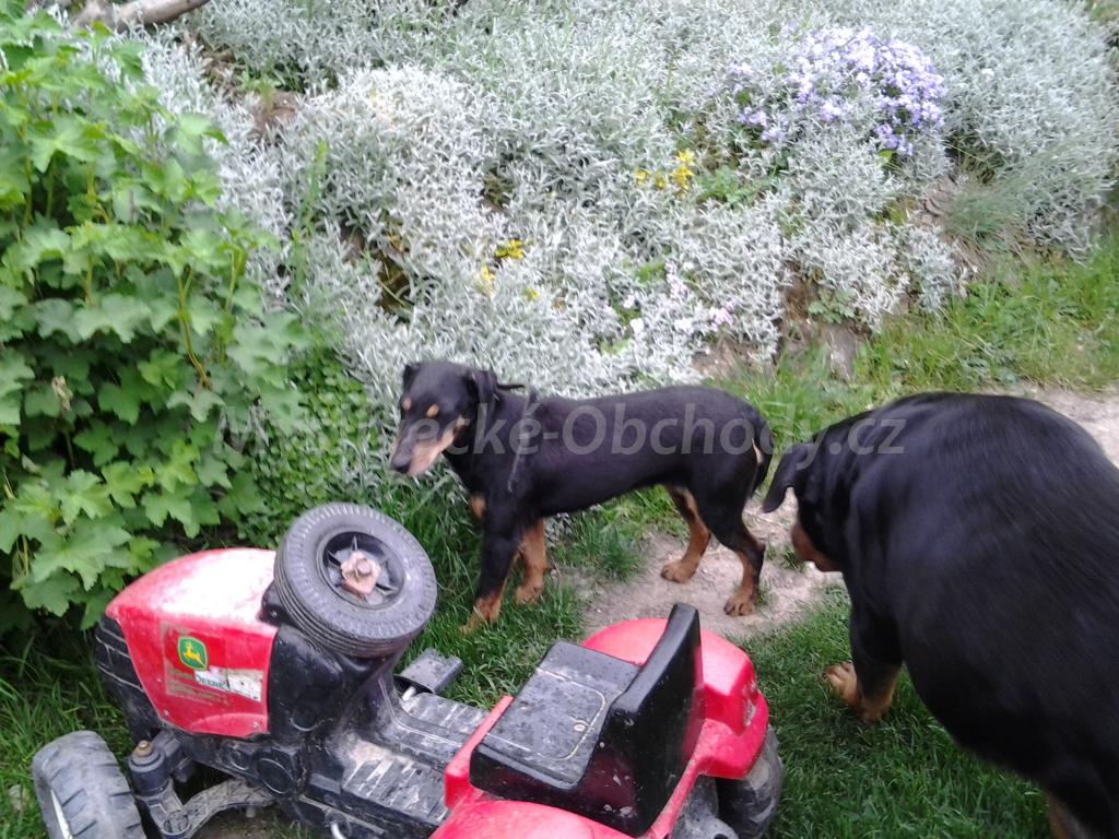 Foto v�robku