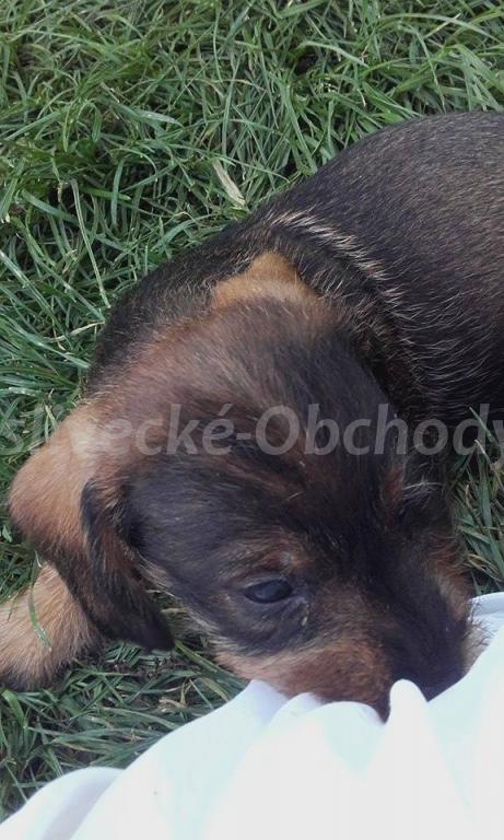 Foto v�robku