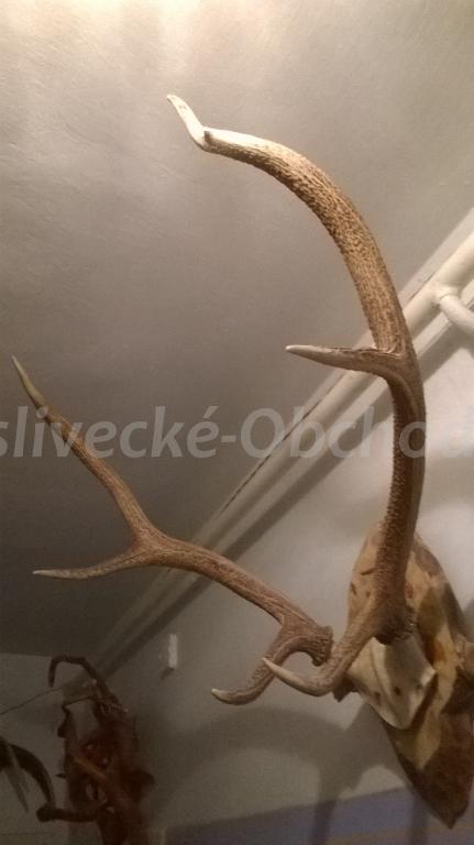 Foto v�robku