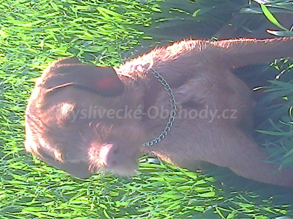 Foto v�robku