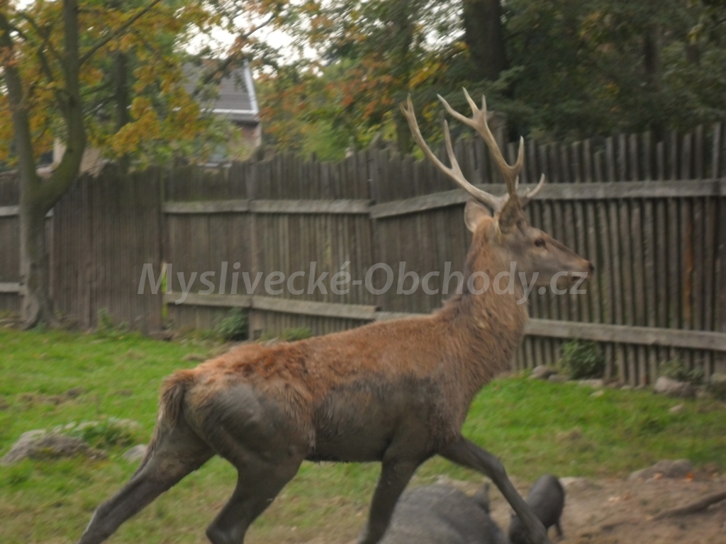 Foto v�robku