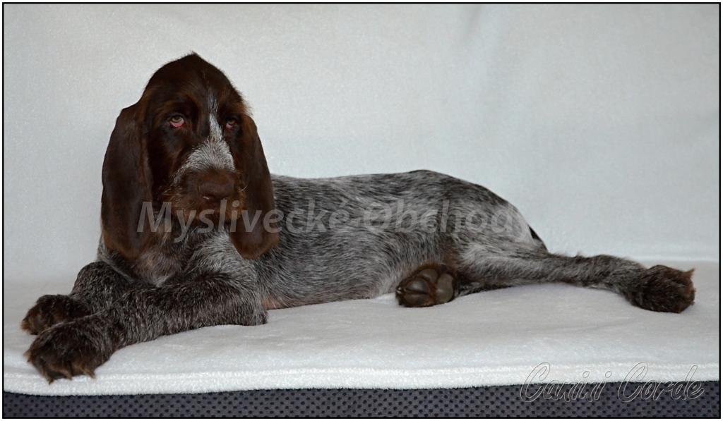 Foto v�robku