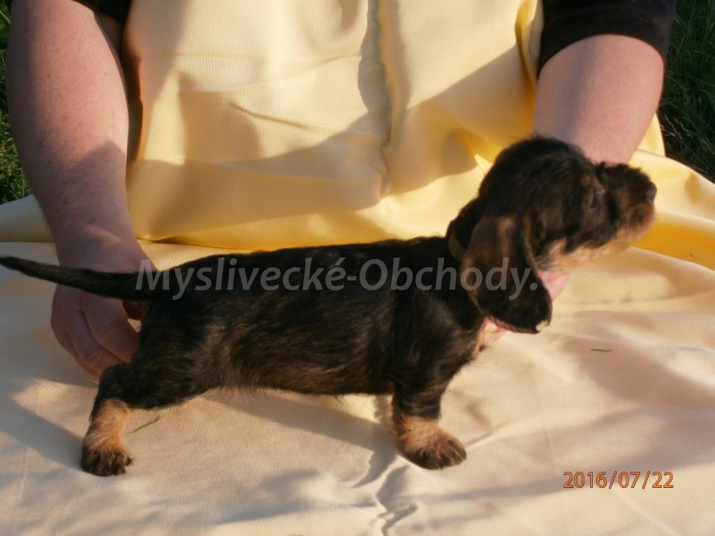 Foto v�robku