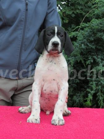 Foto v�robku