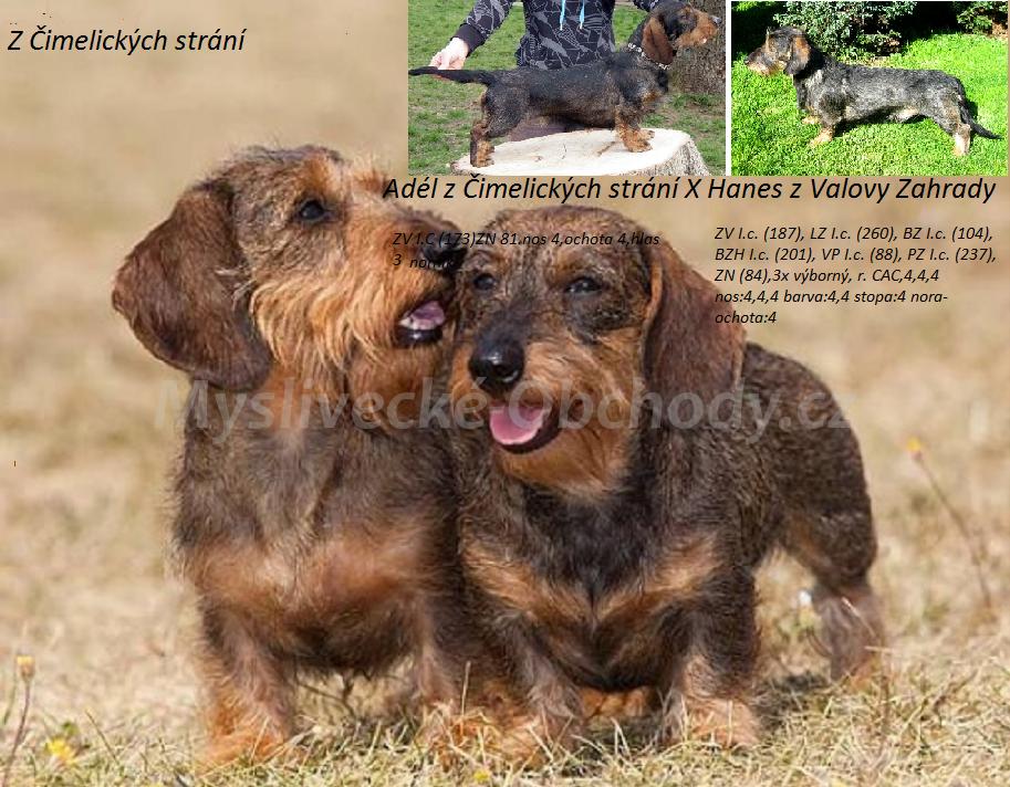Foto v�robku