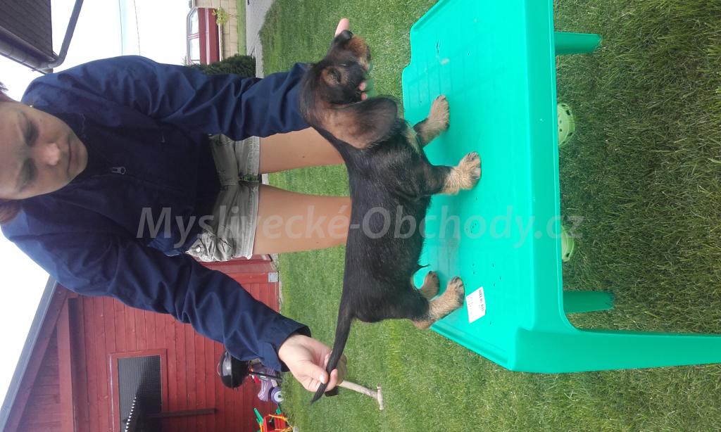 Foto v�robku