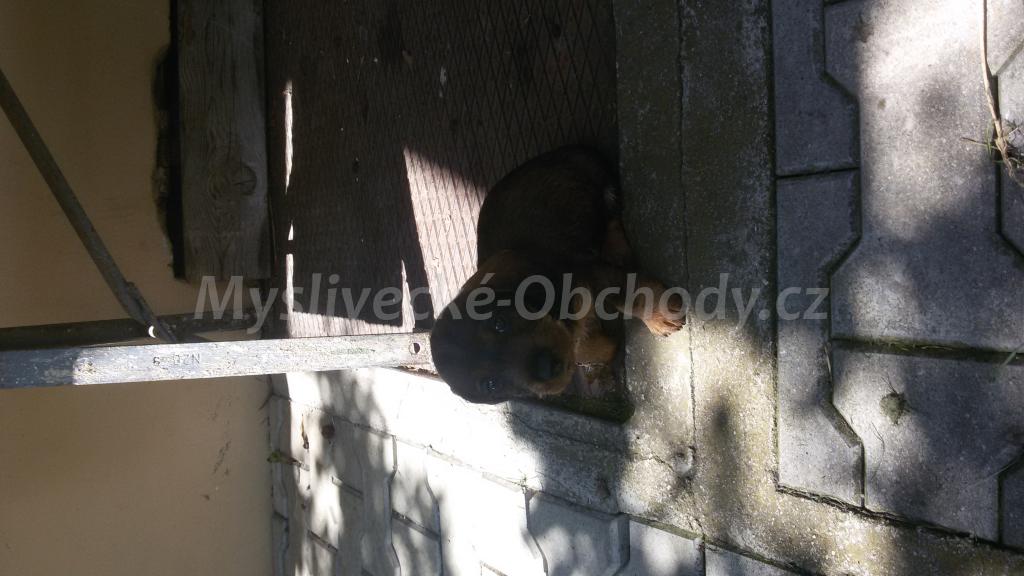 Foto v�robku