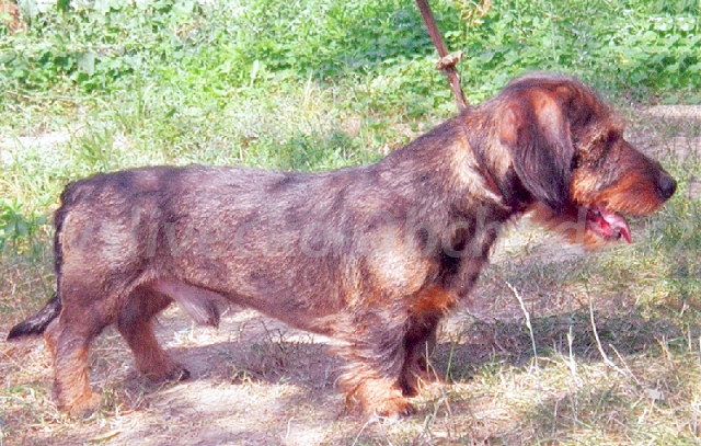 Foto v�robku
