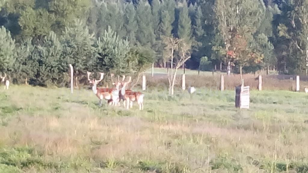 Foto v�robku