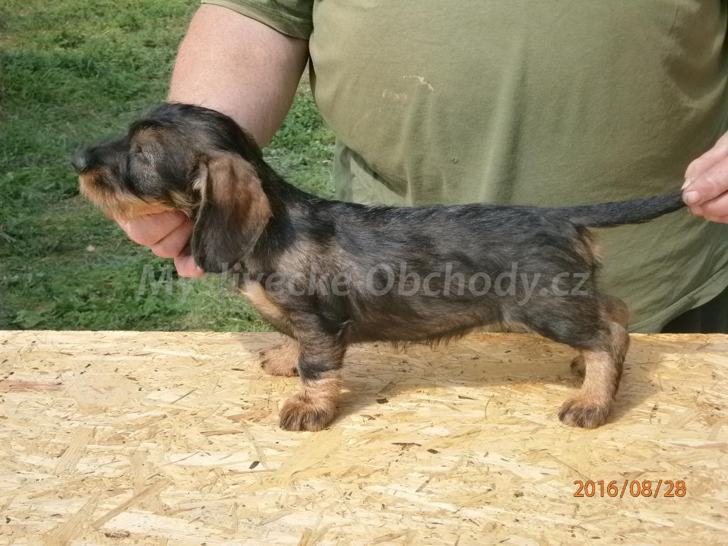 Foto v�robku